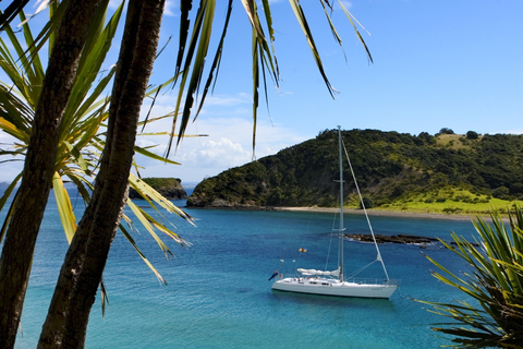 Bahía de las Islas: Impresionante excursión en velero de un día con parada en una isla