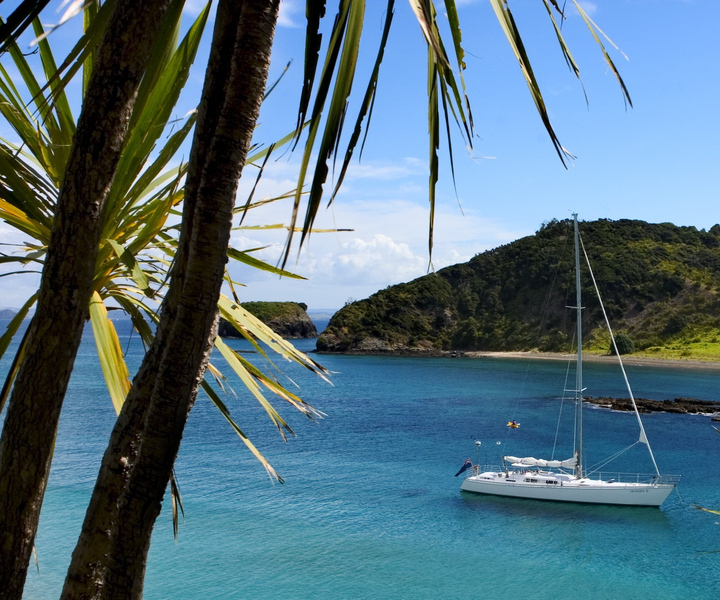 Bay of Islands: Awesome Day Sailing Tour with Island Stop