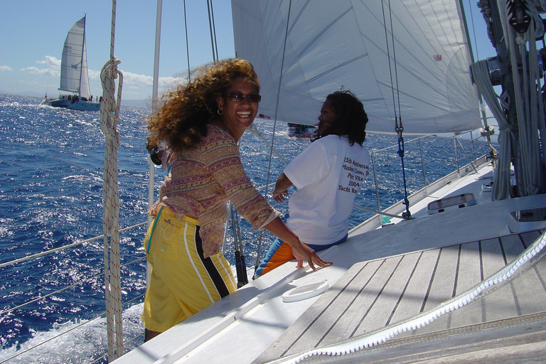 Bay of Islands: Awesome Day Sailing Tour with Island Stop