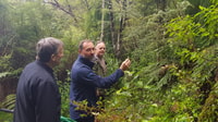 Waitakere Ranges Wilderness Experience Tour da Auckland - Hizvo