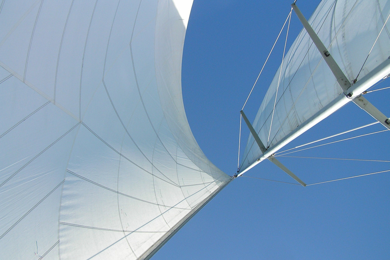 Bay of Islands: Awesome Day Sailing Tour with Island Stop