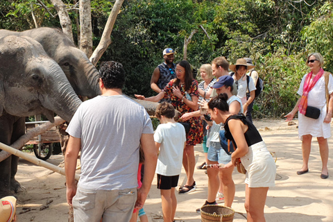 Siem Reap: Tour en grupo reducido por el Bosque de Elefantes de Kulen