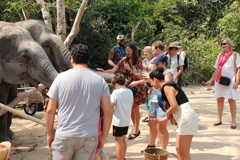 Siem Reap: Small Group Tour of Kulen Elephant Forest