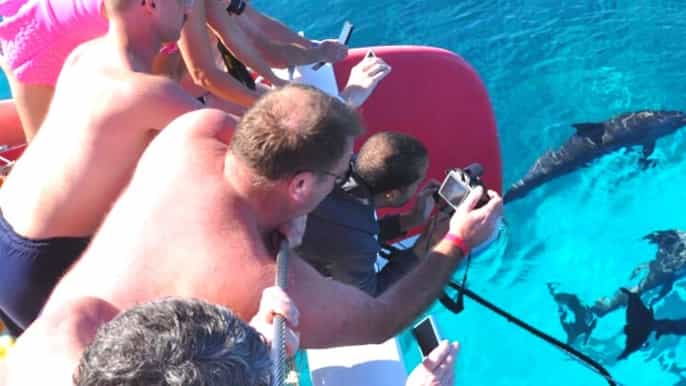 from hurghada el gouna catamaran sailing tour