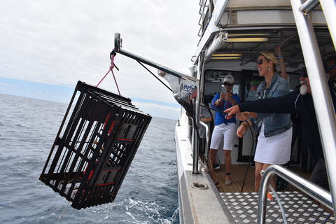 Depuis Perth ou Fremantle : Croisière sur les fruits de mer de l&#039;île RottnestDe Fremantle