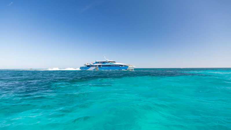 From Perth or Fremantle: Rottnest Island Seafood Cruise
