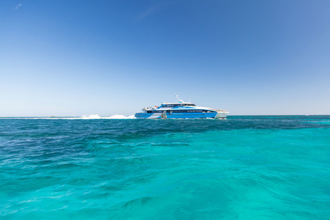 From Perth or Fremantle: Rottnest Island Seafood Cruise From Fremantle