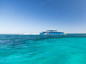 Z Perth lub Fremantle: Rejs z owocami morza na wyspę Rottnest