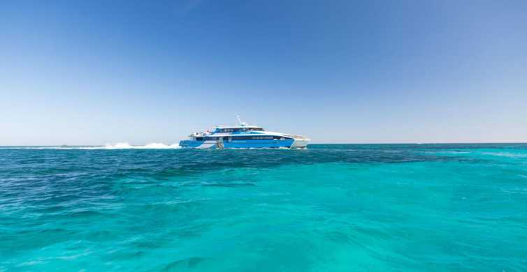 From Perth or Fremantle Rottnest Island Seafood Cruise GetYourGuide