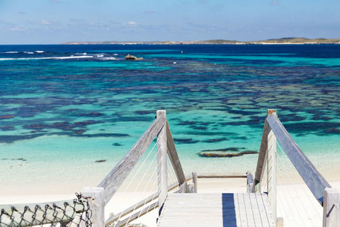 De Perth ou Fremantle: Rottnest Island Seafood CruiseDe Fremantle