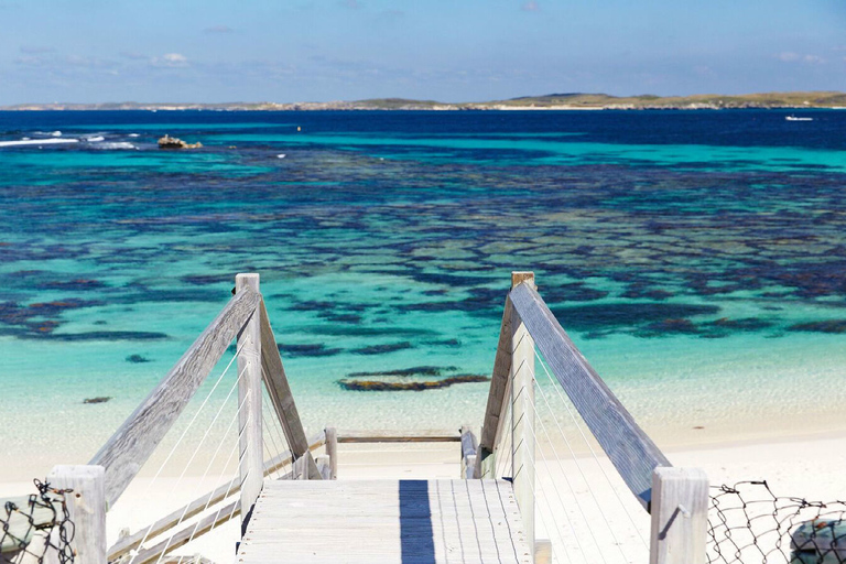 Depuis Perth ou Fremantle : Croisière sur les fruits de mer de l&#039;île RottnestDe Fremantle