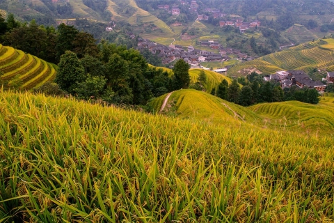 Excursion d'une journée à Longsheng (minorité ethnique) et dans les rizières en terrasses