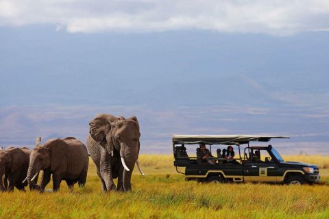 Nairobi: 4 giorni Maasai Mara e Lake Nakuru Camping Safari