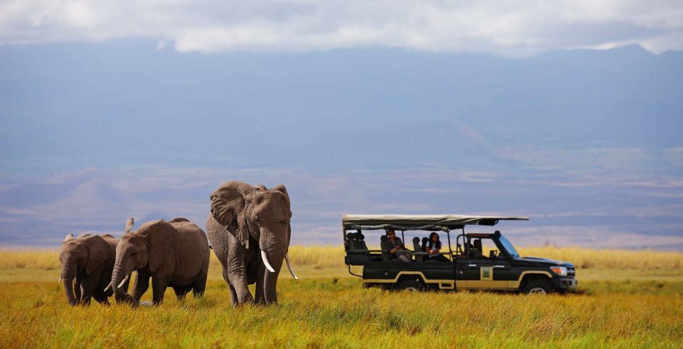 4-dniowe safari: Rezerwat Maasai Mara, jezioro Nakuru, wioska Masajów
