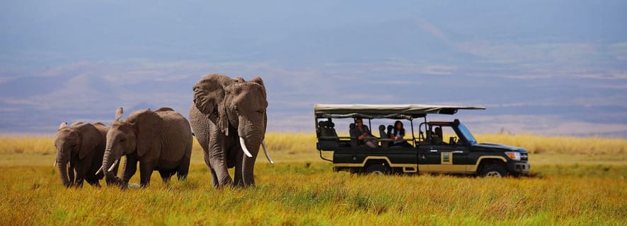 Ab Nairobi: 4-tägige Masai Mara & Lake Nakuru Camping-Safari
