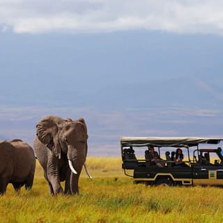 Nairobi: 4-Day Maasai Mara and Lake Nakuru Camping Safari