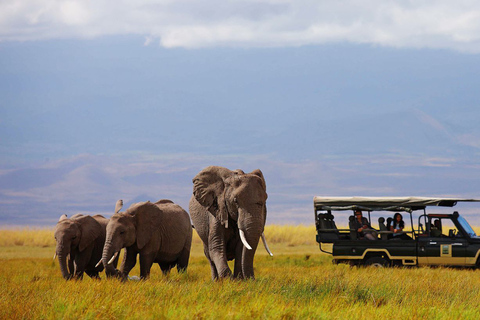 Nairobi: Safari camping de 4 jours au Maasai Mara et au lac Nakuru