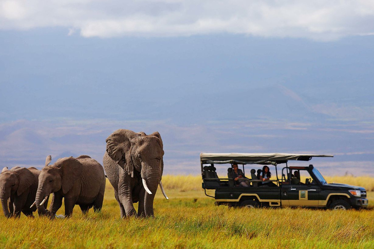 Nairobi: Safari camping de 4 jours au Maasai Mara et au lac Nakuru