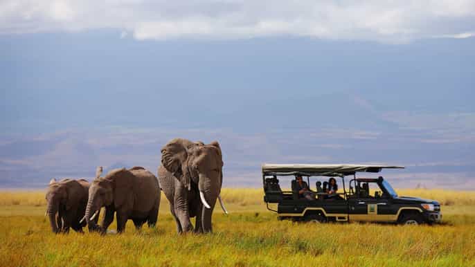 nairobi safari de acampamento de 4 dias em maasai mara e lake nakuru