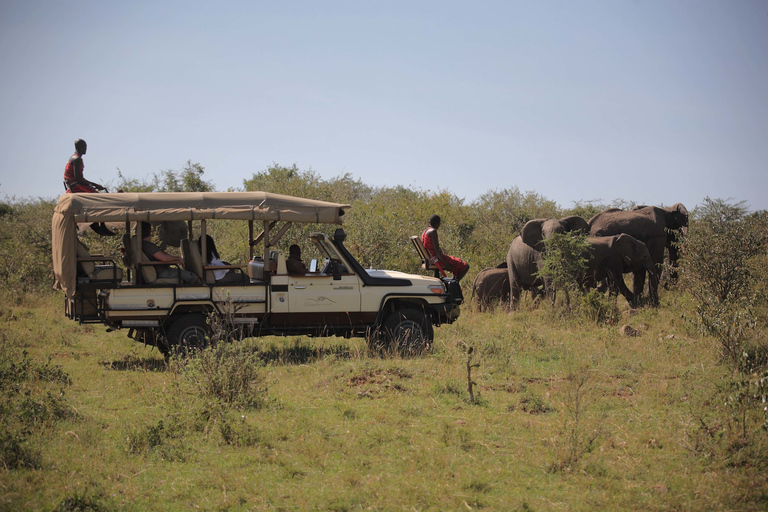 Nairobi: Safari camping de 4 jours au Maasai Mara et au lac Nakuru