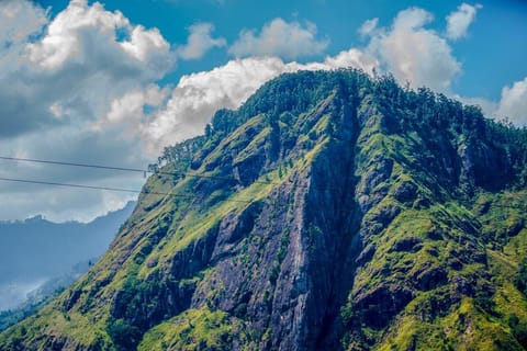 Sri Lanka: 1-Hour Mega Zip Line Adventure in Ella