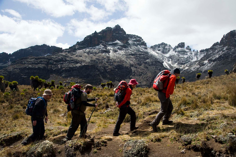 Mount Kenya: 5-Day Hike Via Chogoria Route