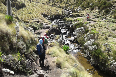 Mount Kenya: 5-Day Hike Via Chogoria Route