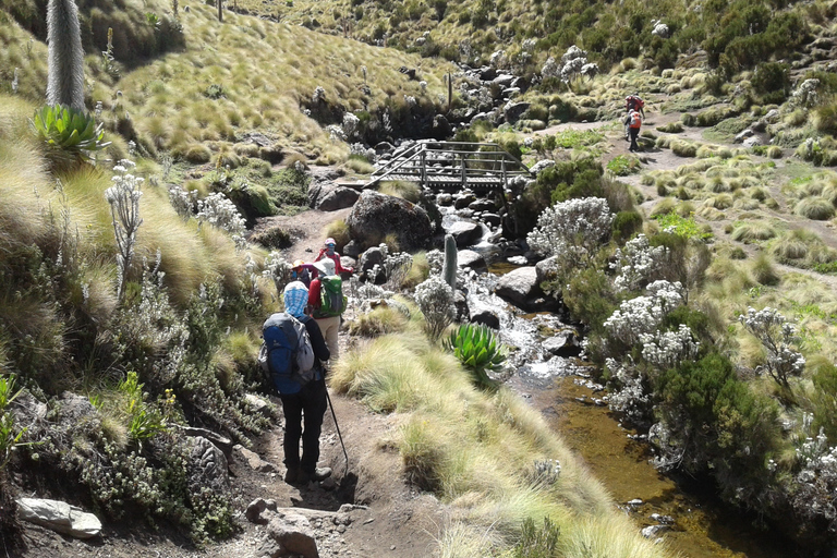 Mount Kenya: 5-Day Hike Via Chogoria Route