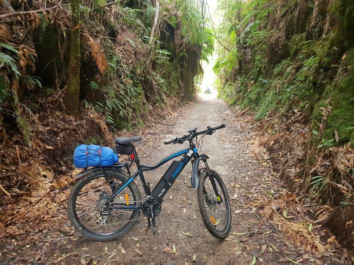Waikato HalfDay Karāpiro River Trail Bike Tour GetYourGuide