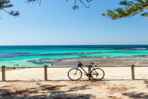Da Perth: traghetto per l'isola di Rottnest, snorkeling e noleggio biciclette