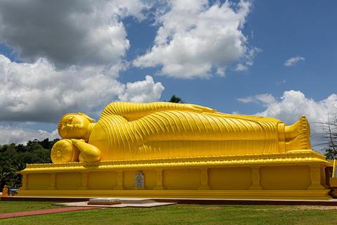 Sri Lanka: 10-Day Guided Tour with Airport Pickup