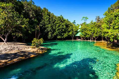 Ko Lanta: Emerald Pool and Hot Springs Day Trip