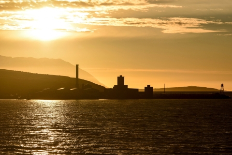 Akureyri: avistamiento de ballenas en el sol de medianoche
