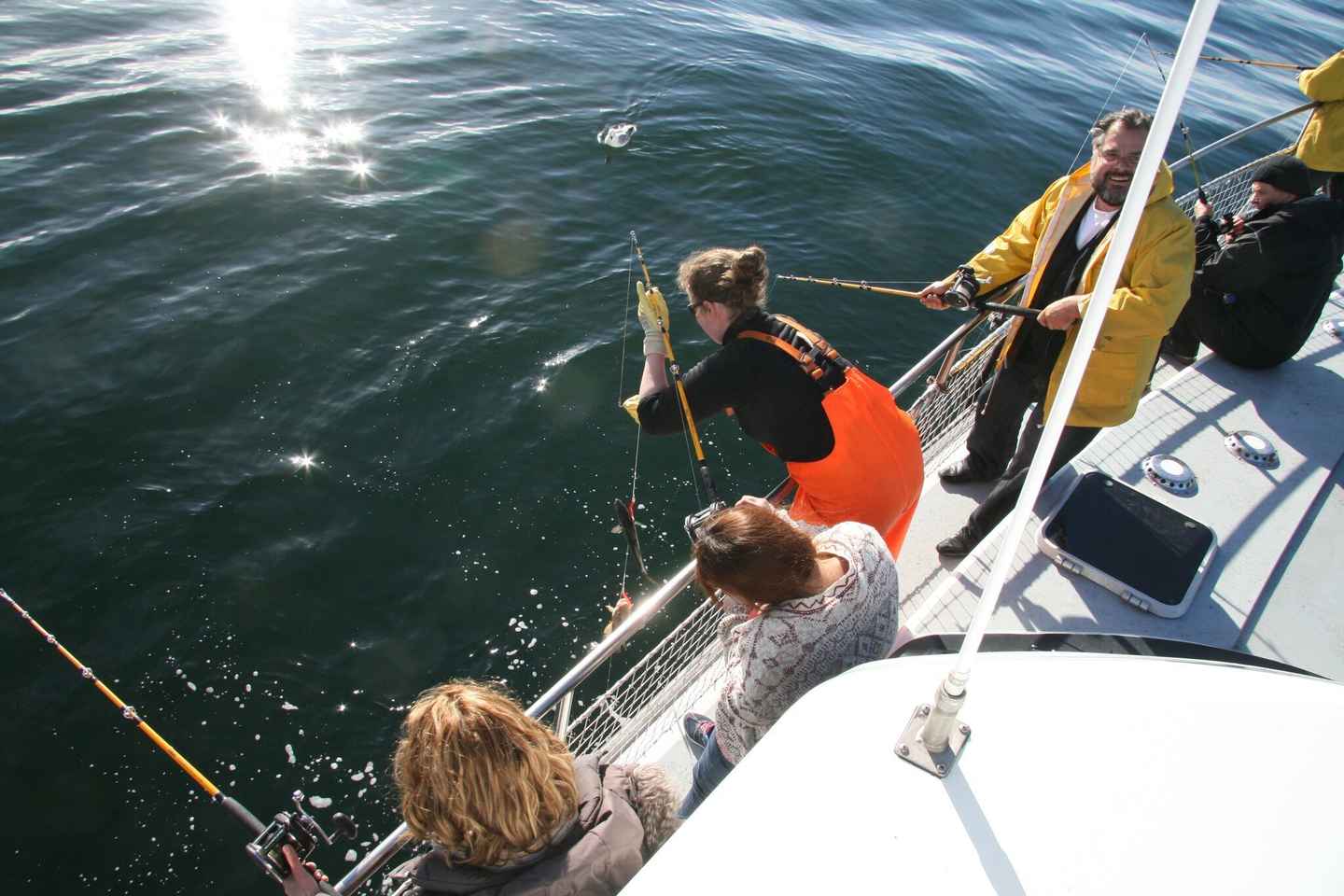 Рейкьявик: Рыбалка и гурмэ на море за 3 часа