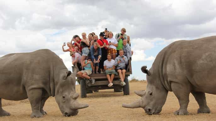 nairobi ol pejeta conservancy and chimpanzee sanctuary tour