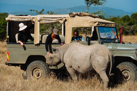 Nairobi: Ol Pejeta Conservancy e excursão ao santuário de chimpanzésNairóbi: Ol Pejeta Conservancy e excursão ao santuário de chimpanzés