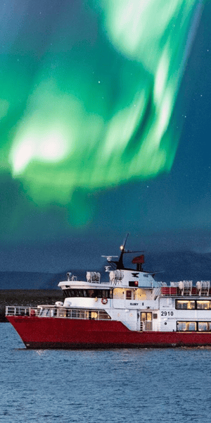 Reykjavík: Northern Lights Cruise | GetYourGuide