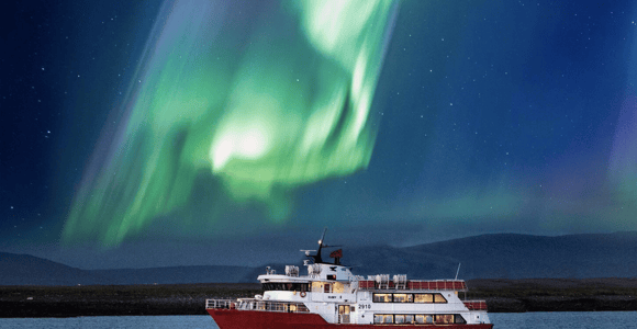 Reykjavík: Northern Lights & City Cruise