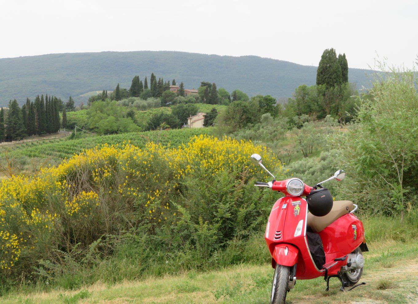 fra Firenze: All inclusive Toscana Vespa Tour i Chianti