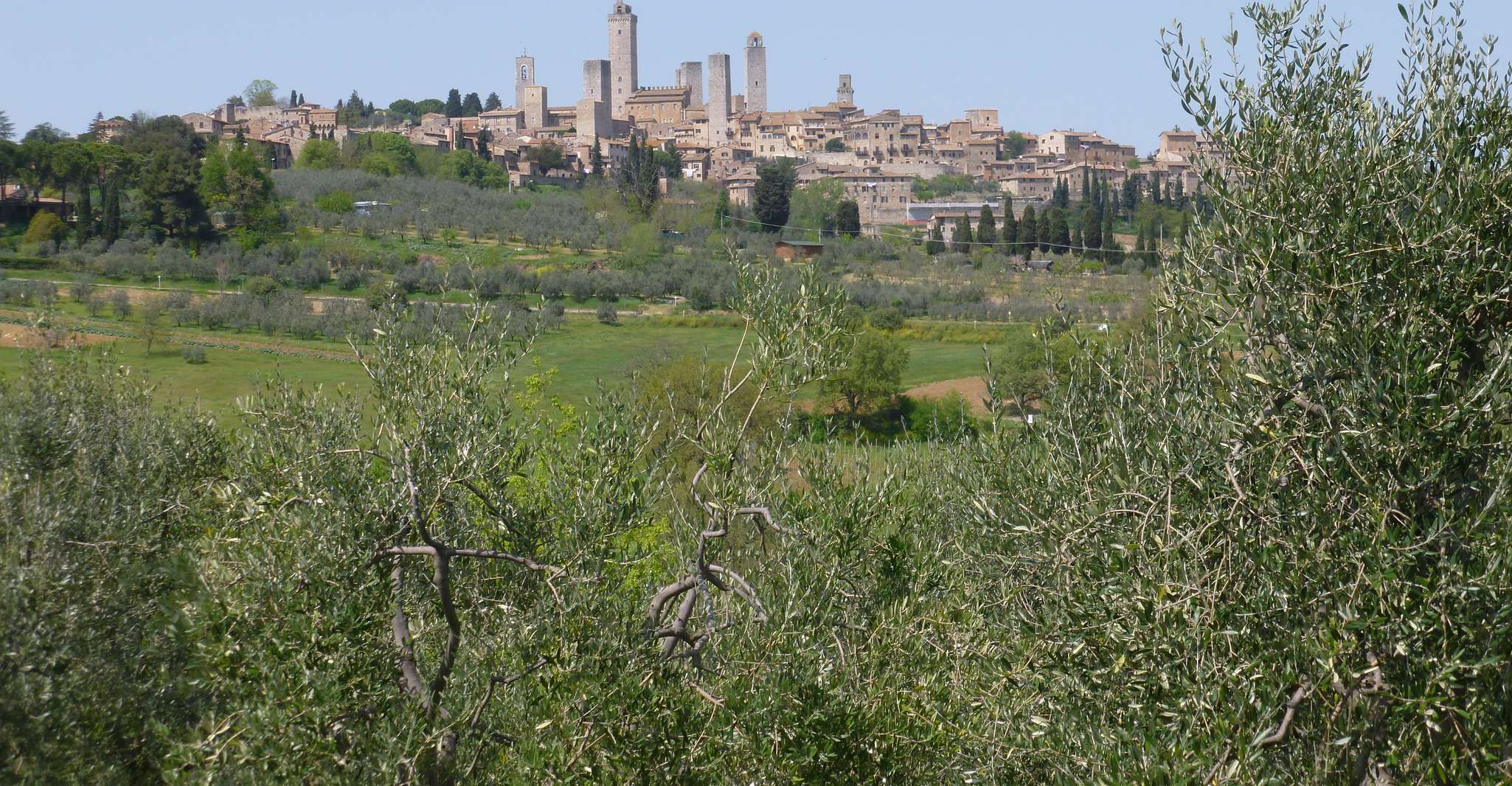 From Florence: Tuscany Vespa Tour with Lunch & Wine photo 19