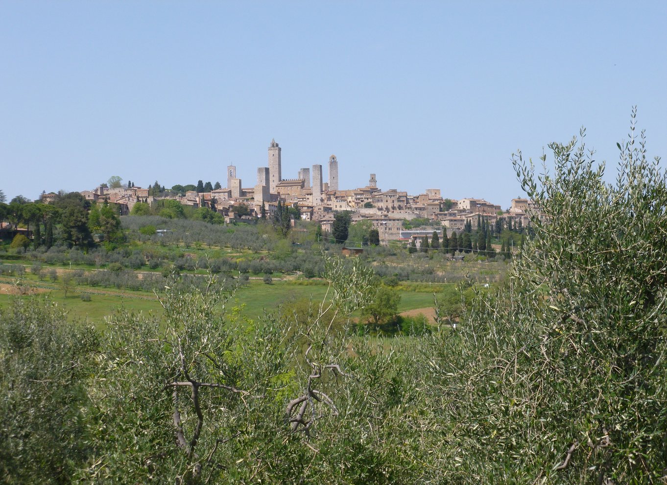 fra Firenze: All inclusive Toscana Vespa Tour i Chianti