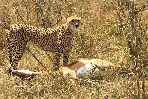 Nairobi: safari nel parco nazionale di Amboseli di 4 giorni