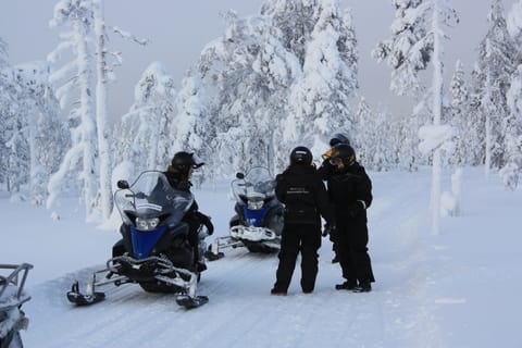 Rovaniemi: Snowmobile to Reindeer, Husky Farm, Santa Village