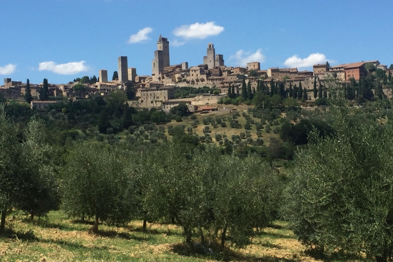 Desde Roma: excursión de día completo a la Toscana con cata de vinos