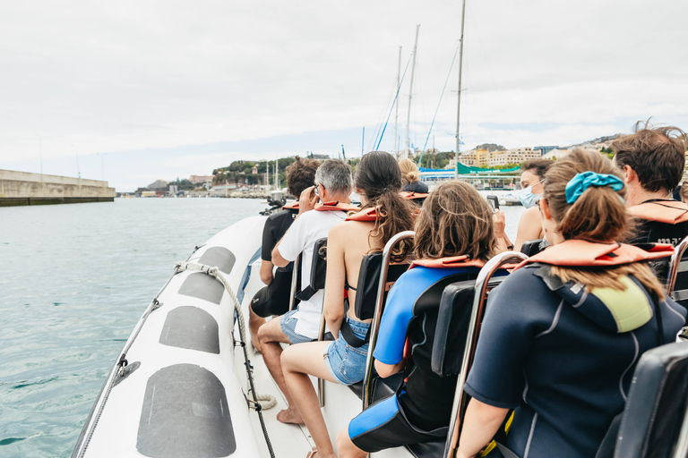 Depuis Funchal : Aventure avec les dauphins en bateau rapide