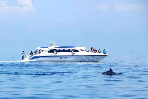 Khao Lak: Surin Islands Snorkeling Trip by VIP Speedboat