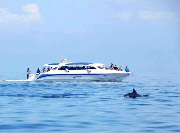 Khao Lak: Surin Islands Snorkeling Trip by Speedboat & Lunch