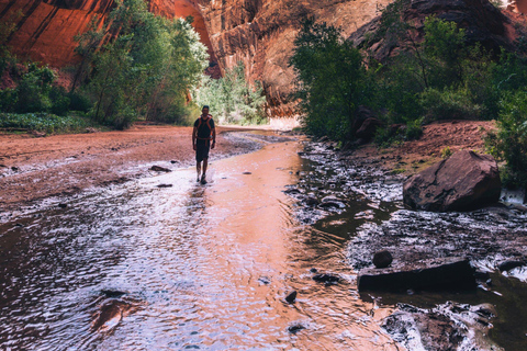 Wadi Mujib Siq Trail Day Trip from Amman | Water Canyon Hike
