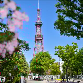 Sapporo: Skip-the-Line Sapporo TV Tower Admission Ticket