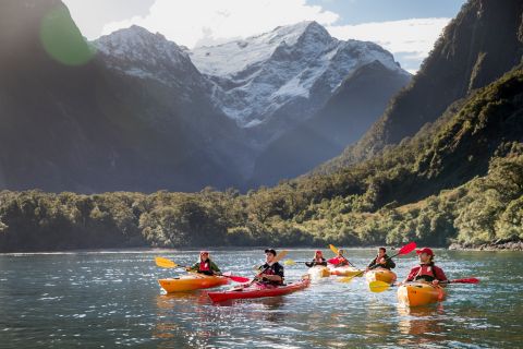 Milford Sound: Kayaking Tour